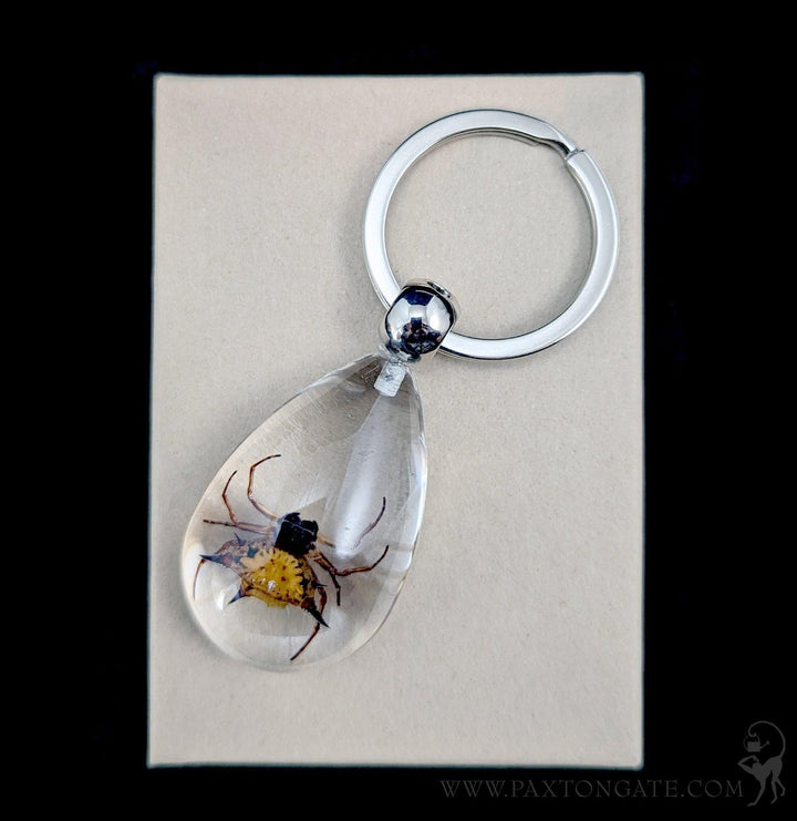 fabtcg Orb-Weaver Spinneret SCGプロモ3枚セット Spiny-Spider-Keychain_720x.jpg