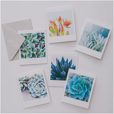 Succulent Garden Notecards - Paxton Gate