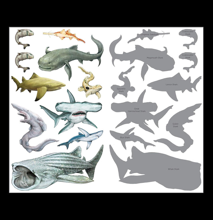 Super, Strong Tattoo Sharks: 50 Temporary Tattoos That Teach