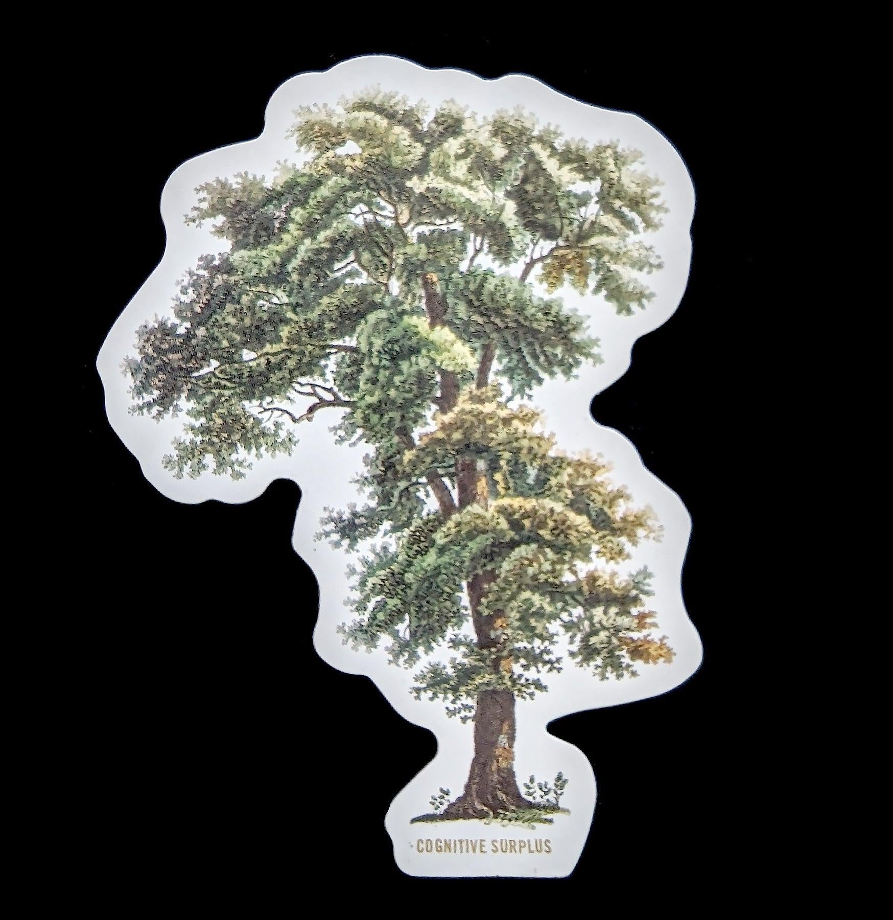 Tall Tree Sticker – Paxton Gate