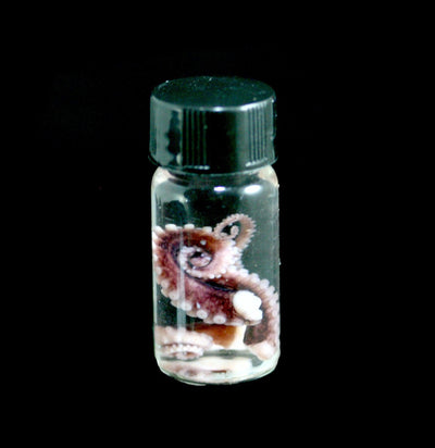 Tentacle Wet Specimen - Paxton Gate