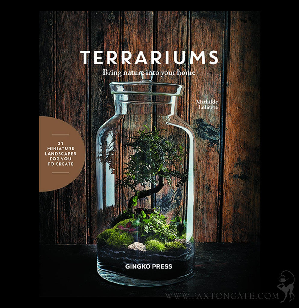 plant terrariums for sale Terrariums For Sale