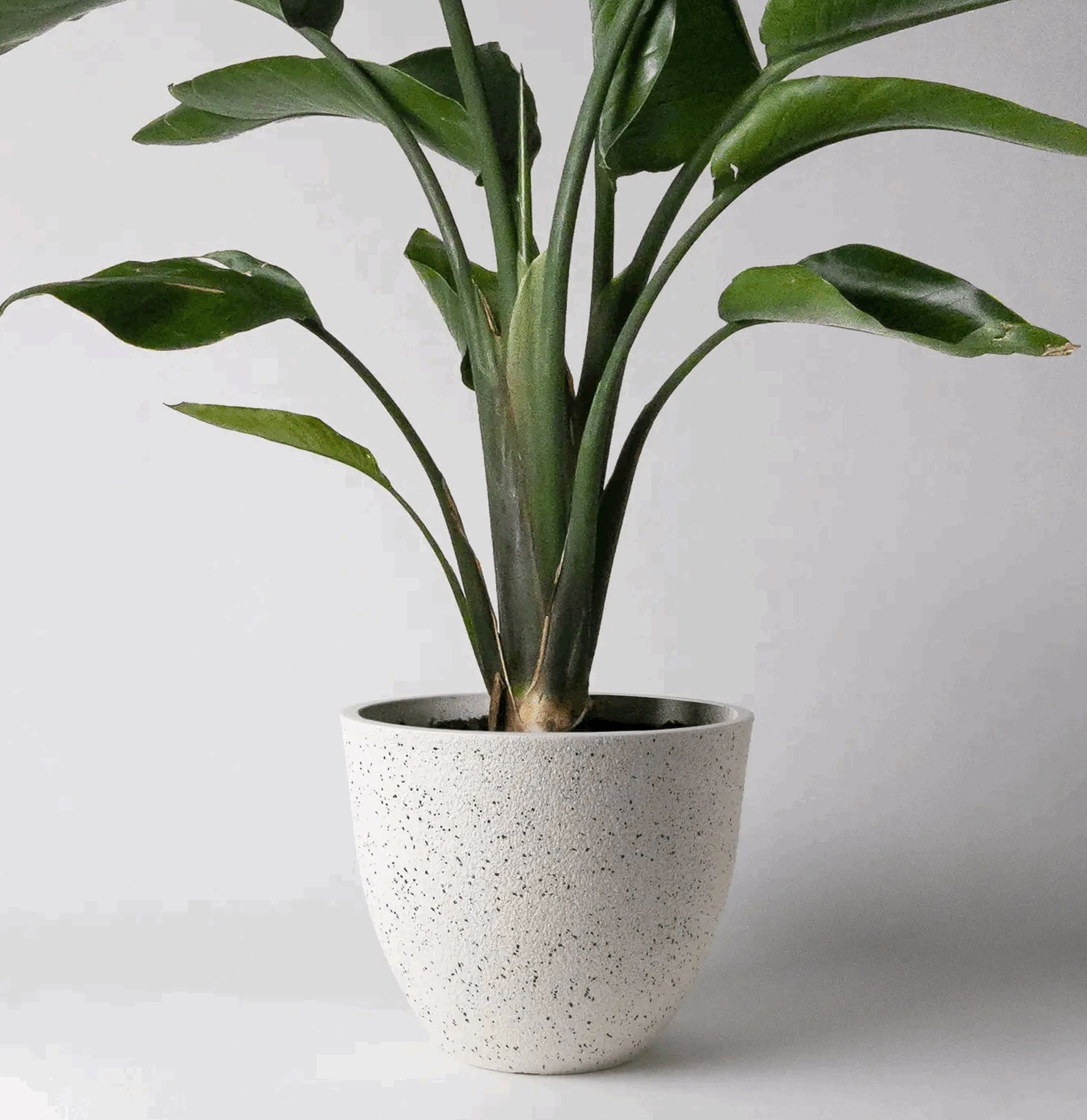 textured planter pots Textured Planter Pot For Sale