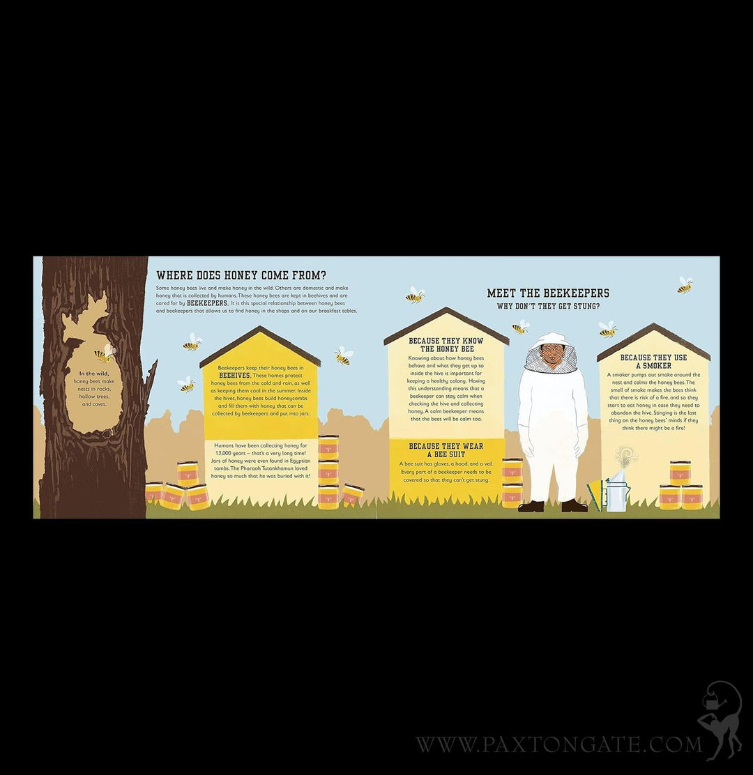 The Bee Book: Conservation for Kids For Sale | Paxton Gate