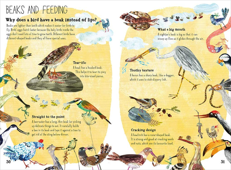 The Big Book of Birds - Paxton Gate
