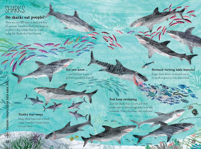 The Big Book of the Blue - Paxton Gate