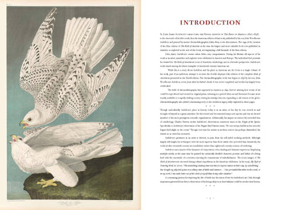 The Birds of America: The Bien Chromolithographic Edition - Paxton Gate