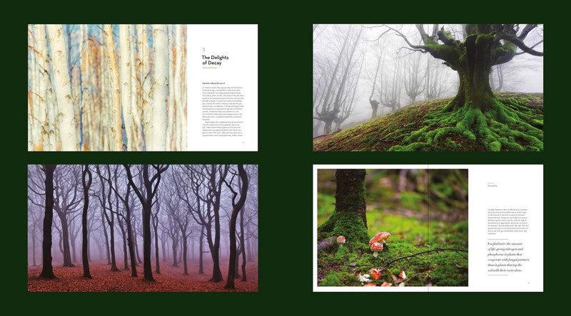 The Hidden Life of Trees: Illustrated Edition - Paxton Gate