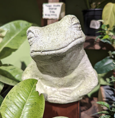 Toad Dude Garden Statuary-statuary-Orlandi-PaxtonGate