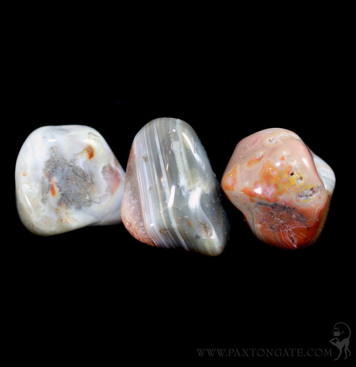 Tumbled Crazy Lace Agate Stone For Sale | Paxton Gate
