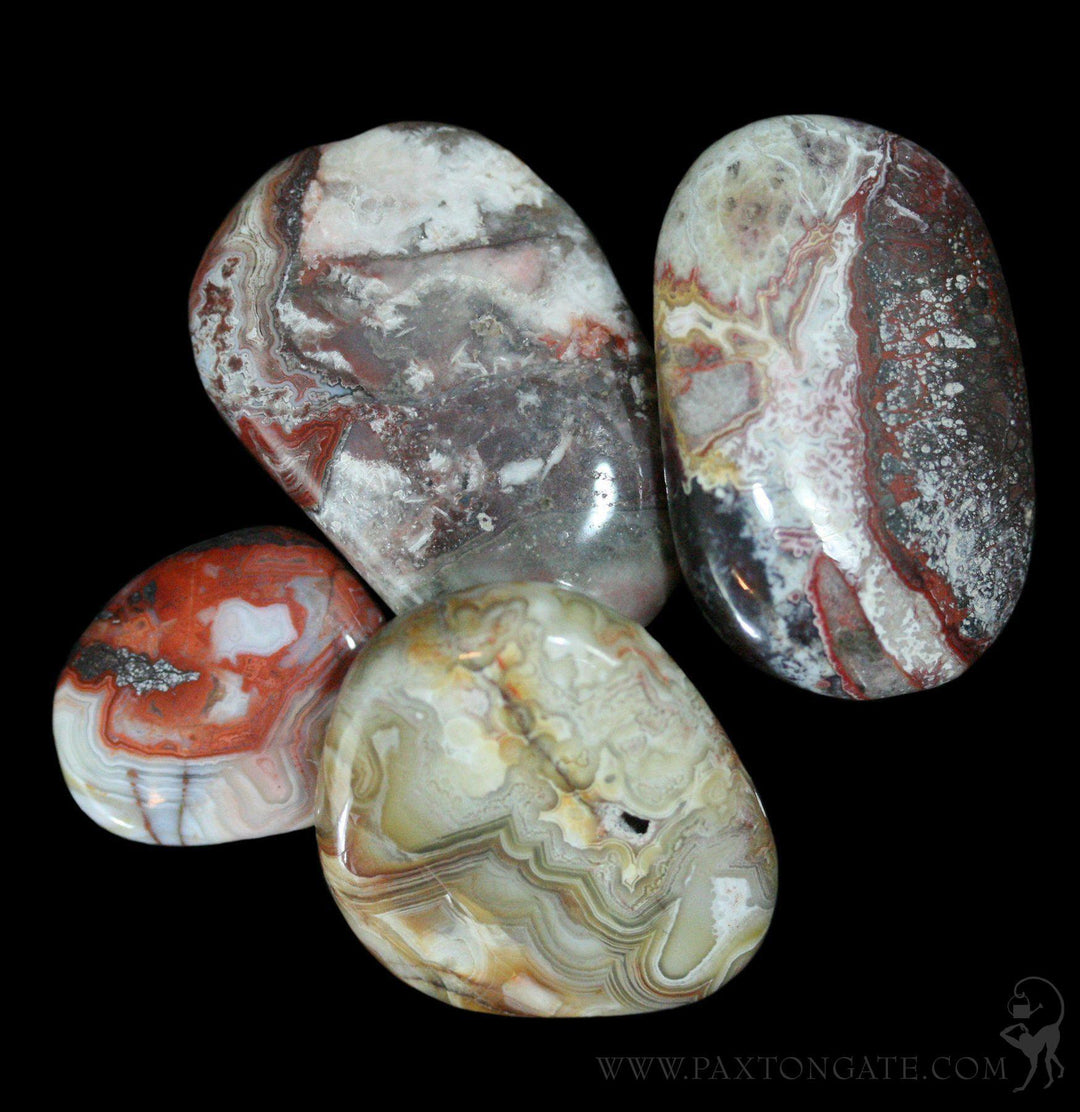 Tumbled Crazy Lace Agate Stone For Sale | Paxton Gate