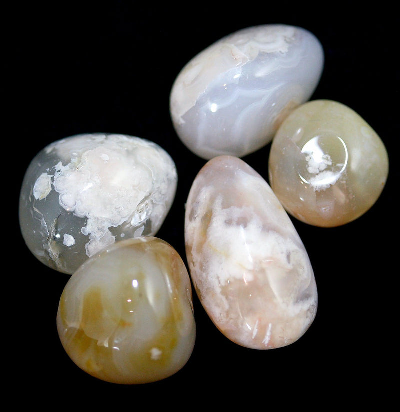 Tumbled Flower Agate Stone - Paxton Gate