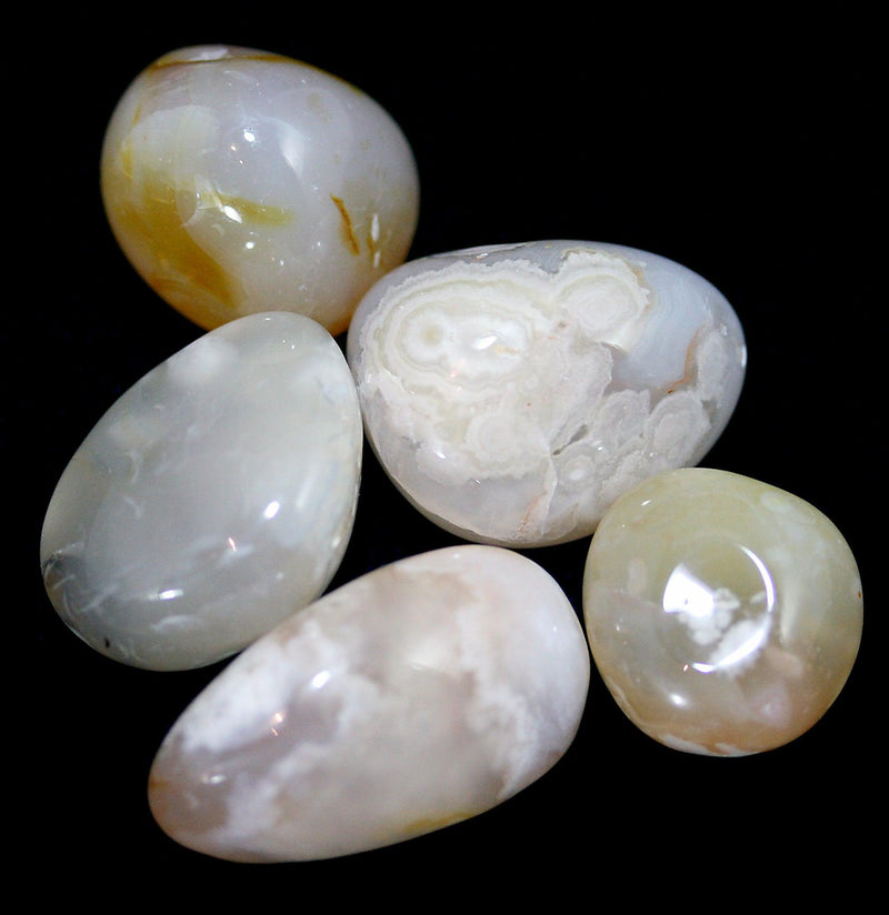 Tumbled Flower Agate Stone - Paxton Gate