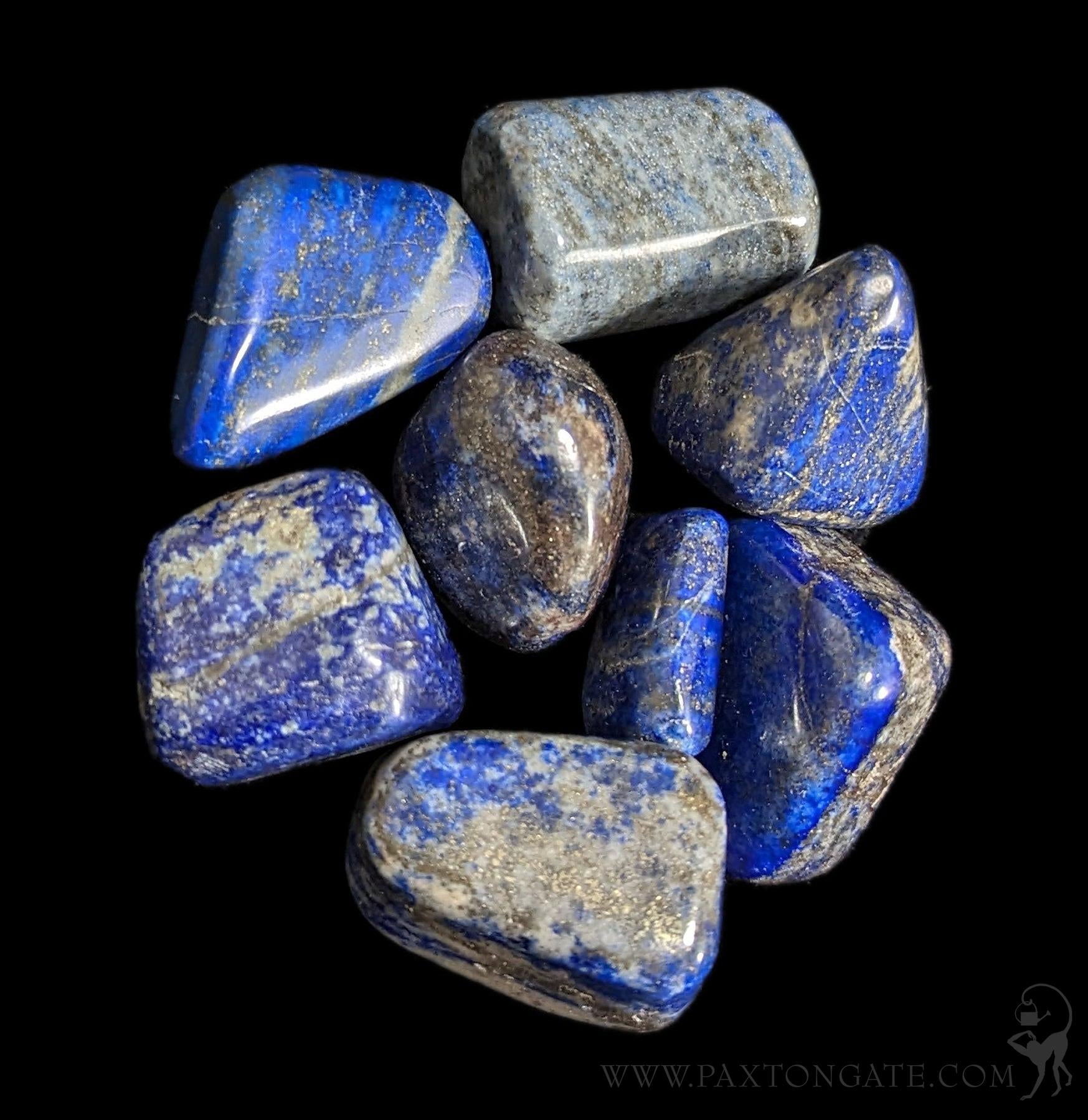 Tumbled Lapis Lazuli Stone For Sale Paxton Gate