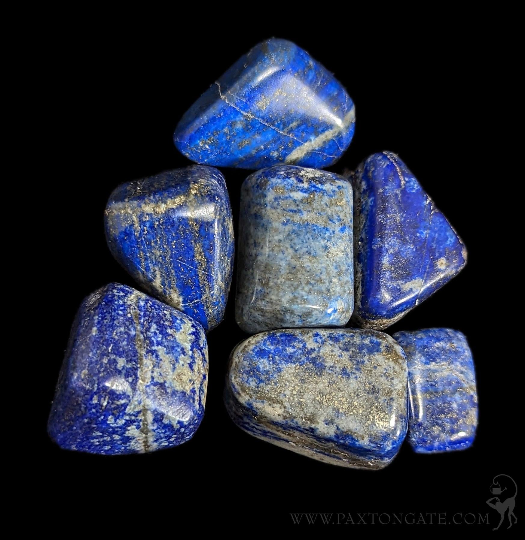 Tumbled Lapis Lazuli Stone For Sale | Paxton Gate