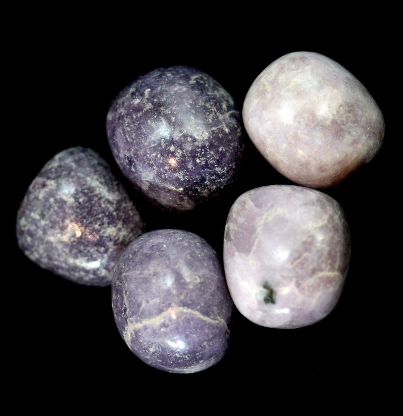 Tumbled Lepidolite Stone - Paxton Gate