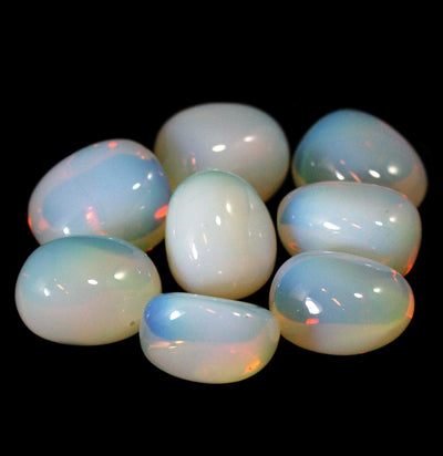 Tumbled Opalite - Paxton Gate