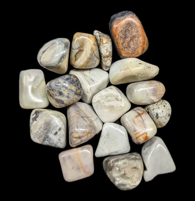 Tumbled Picasso Jasper Stones-Minerals-Quasar Gems-PaxtonGate