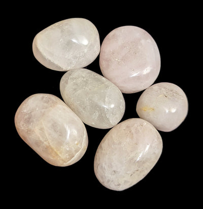 Tumbled Rose Quartz Ovals - Paxton Gate