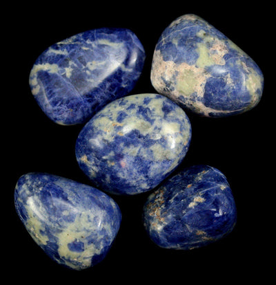 Tumbled Sodalite Stone - Paxton Gate