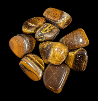Tumbled Tiger's Eye Stone-Minerals-Quasar Gems-PaxtonGate
