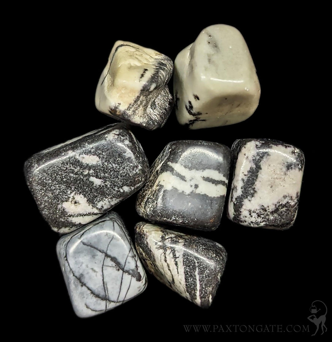 Tumbled Zebra Jasper Stone For Sale | Paxton Gate