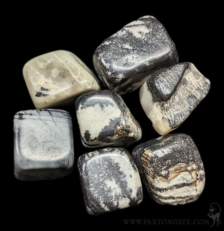 Tumbled Zebra Jasper Stone For Sale | Paxton Gate