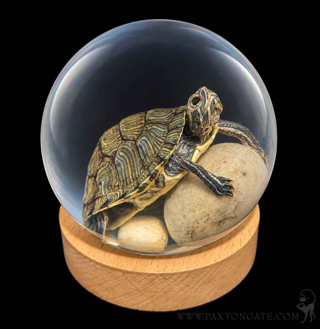 Turtle in Globe For Sale | Paxton Gate