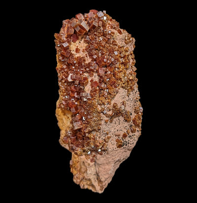 Vanadinite Crystal Cluster-Minerals-Esseouani Soulfiane-PaxtonGate