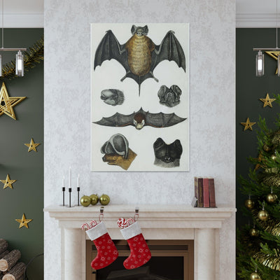 Various Bats Illustration Canvas Gallery Wraps-Canvas-Printify-PaxtonGate