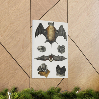 Various Bats Illustration Canvas Gallery Wraps-Canvas-Printify-PaxtonGate