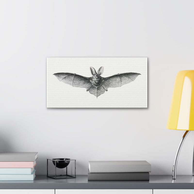 Vintage Bat Illustration By Ernst Haeckel Canvas Gallery Wraps-Canvas-Printify-PaxtonGate