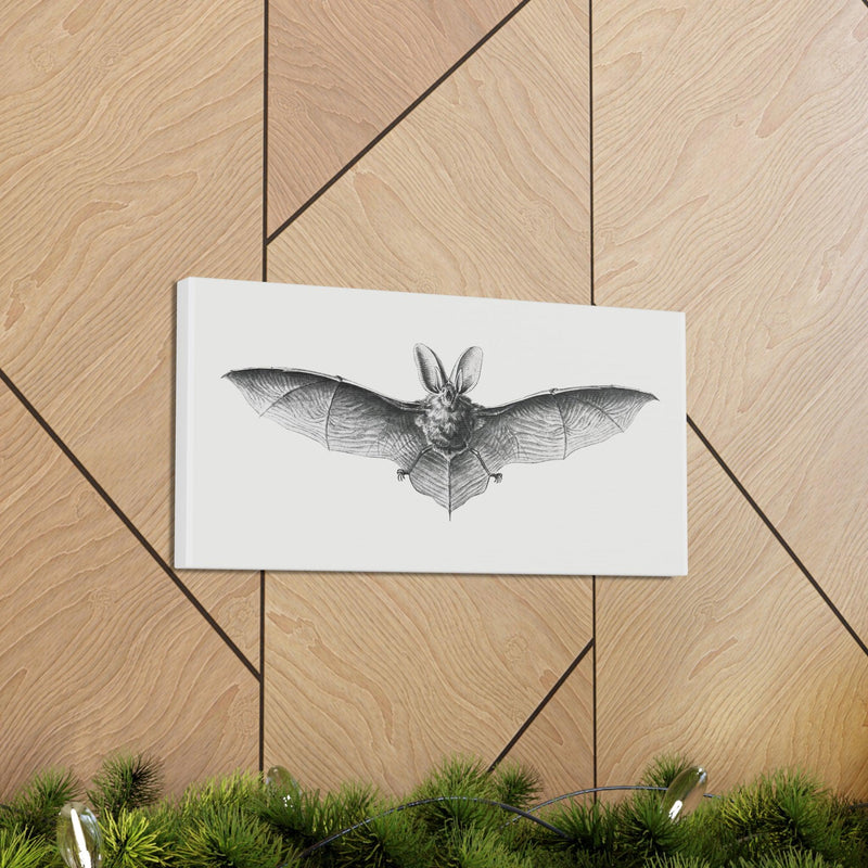 Vintage Bat Illustration By Ernst Haeckel Canvas Gallery Wraps-Canvas-Printify-PaxtonGate