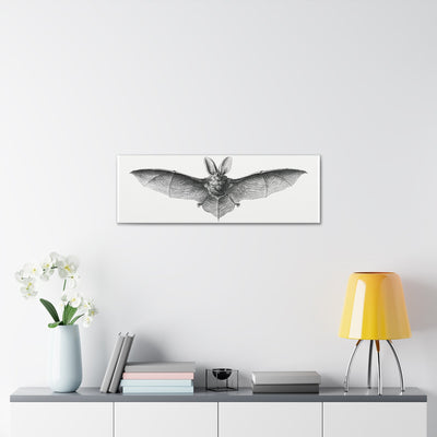 Vintage Bat Illustration By Ernst Haeckel Canvas Gallery Wraps-Canvas-Printify-PaxtonGate