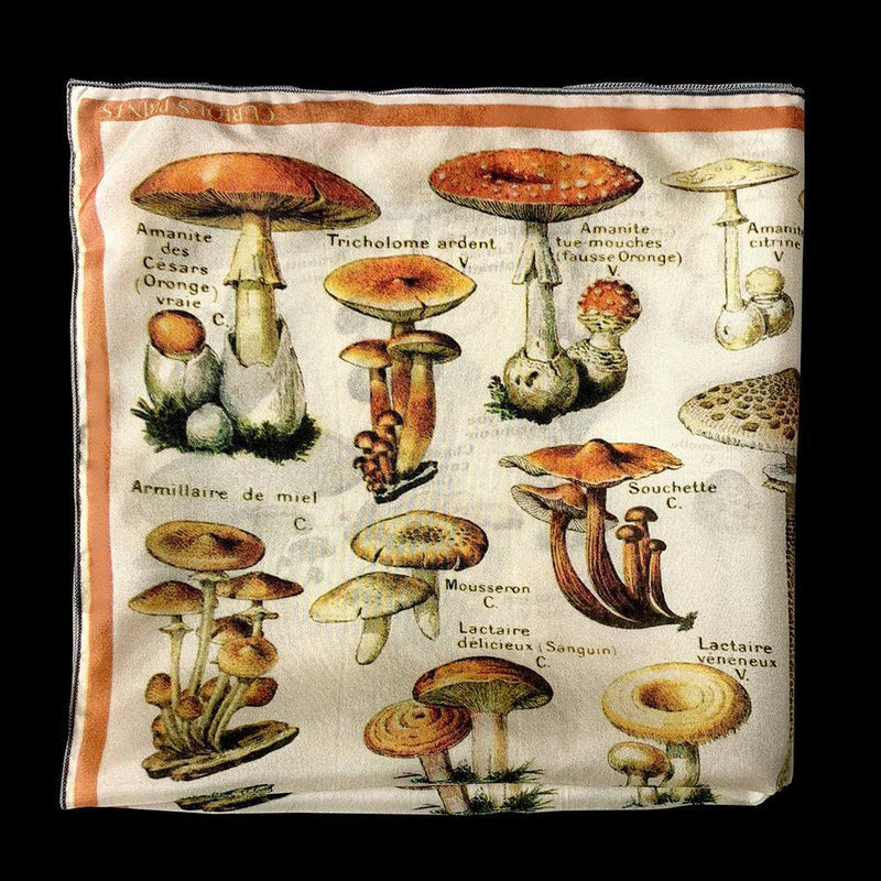 Vintage Mushroom Silk Chiffon Scarf - Paxton Gate