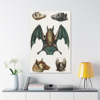 Vintage Various Bats Illustrations Canvas Gallery Wraps-Canvas-Printify-PaxtonGate