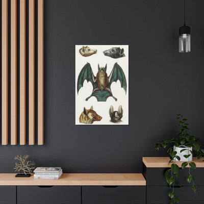 Vintage Various Bats Illustrations Canvas Gallery Wraps-Canvas-Printify-PaxtonGate