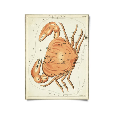 Vintage Zodiac Sign Astrology Print - Paxton Gate