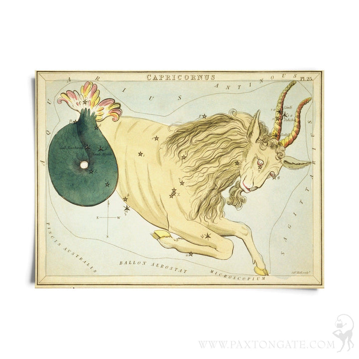 Vintage Zodiac Sign Astrology Print For Sale | Paxton Gate