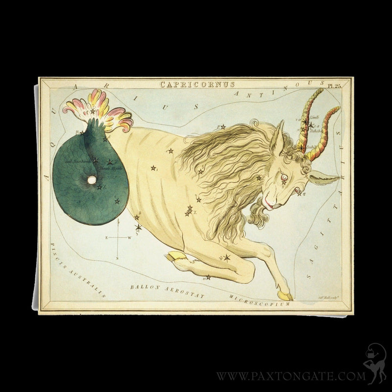 Old Rasio Sign Vintage Zodiac Sign Astrology Print – Paxton Gate