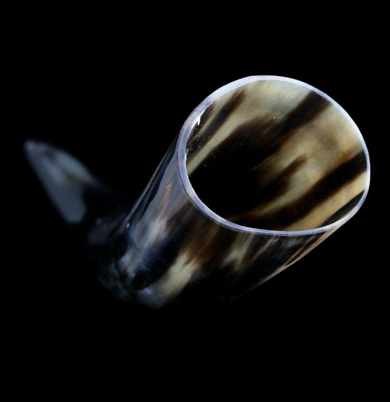 Water Buffalo Horn - Paxton Gate