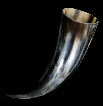 Water Buffalo Horn - Paxton Gate