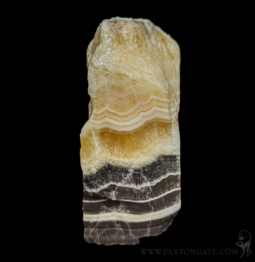 Zebra Calcite For Sale | Paxton Gate