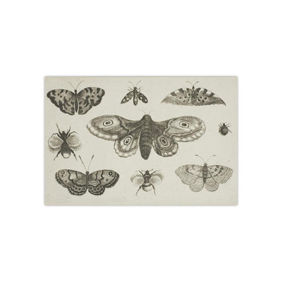 A Moth, Butterflies, and Bees Satin Poster - Paxton Gate