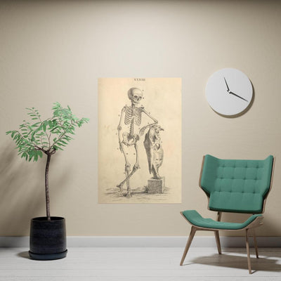 Human Skeleton And Horse Skull Matte Poster - Paxton Gate