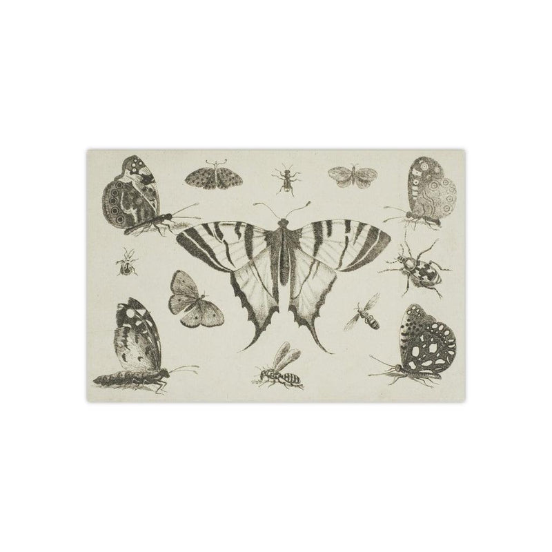 Swallow-Tailed Butterfly and Other Insects Satin Poster - Paxton Gate