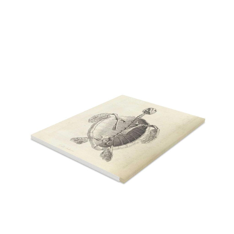 Turtle Skeleton Greeting Card Pack - Paxton Gate