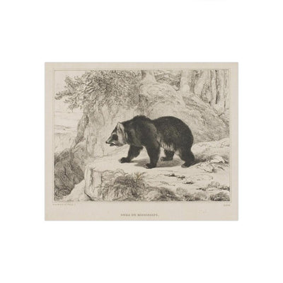 Mississippi Bear Satin Posters - Paxton Gate