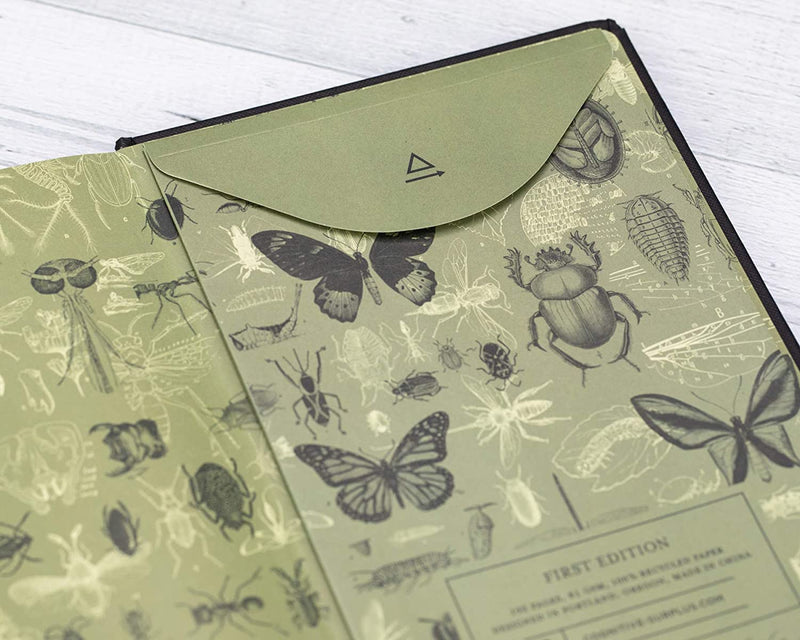 Embossed Beetle Hardcover Lined Notebook - Paxton Gate