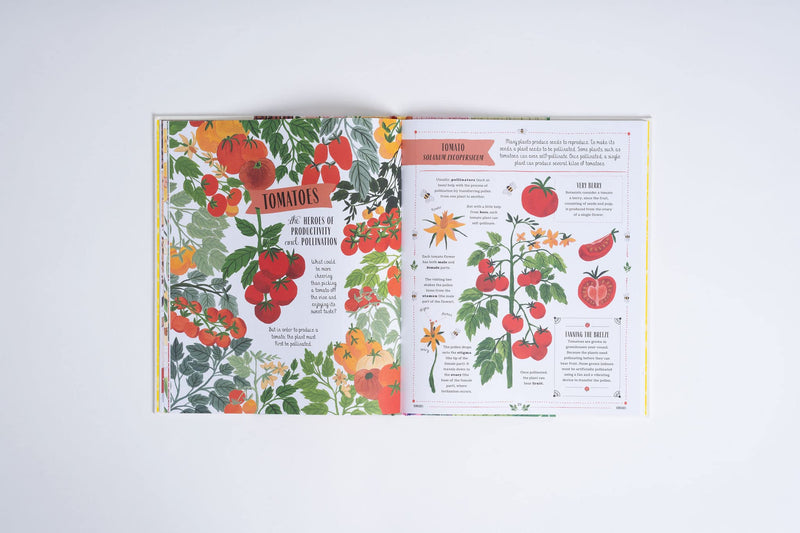 Grow: A Guide for Plants - Paxton Gate